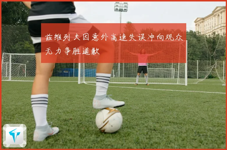 兹维列夫因意外高速失误冲向观众无力争胜道歉