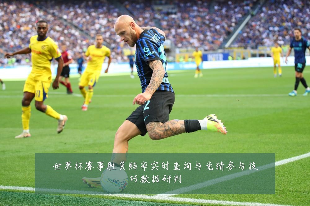 世界杯赛事胜负赔率实时查询与竞猜参与技巧数据研判